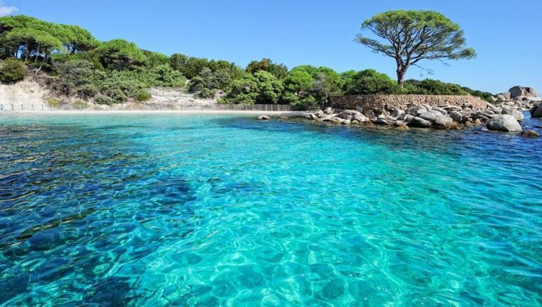 Nouvel Location D'Un Bel Appart T2 Climatise Et Meuble Au Rdch Avec Piscine Dans Residence Les Melody 圣玛丽亚波焦 外观 照片
